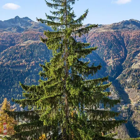 Chaleureux Avec Vue Epoustouflante Daire *